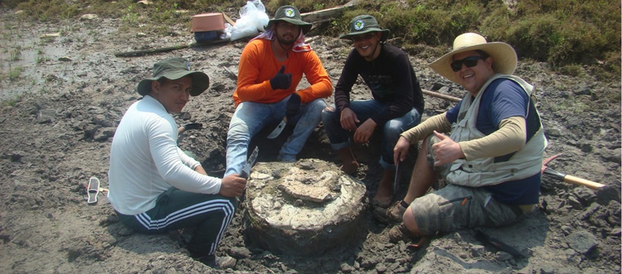 Paleontologia do campus Floresta.jpg Paleontologia do campus Floresta.jpg