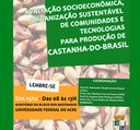 castanha2.jpg castanha2.jpg