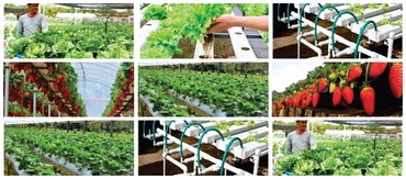 Campus Floresta da Ufac terá Centro de Tecnologia em Hidroponia