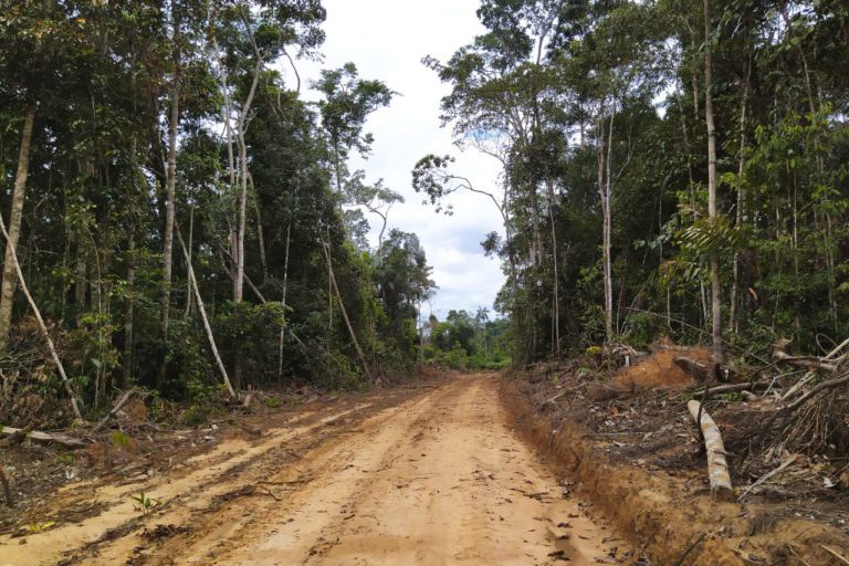 1-Brazil-Acre-road-5-768x512.jpeg 1-Brazil-Acre-road-5-768x512.jpeg