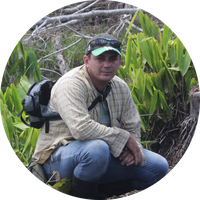 ok_RafaelAlmeida - Copia.png