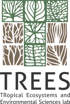 3_1_TREES.png 3_1_TREES.png