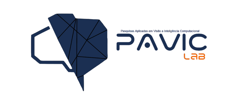pavic-logo.png pavic-logo.png