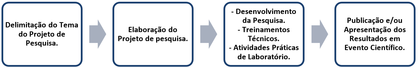 oraganizacao.png