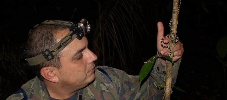 Aluno do campus Floresta da Ufac descobre nova espécie de opilião.jpeg