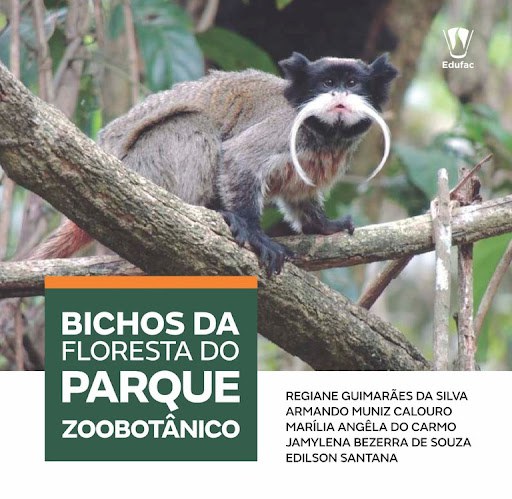 Bichos da Floresta.jpg