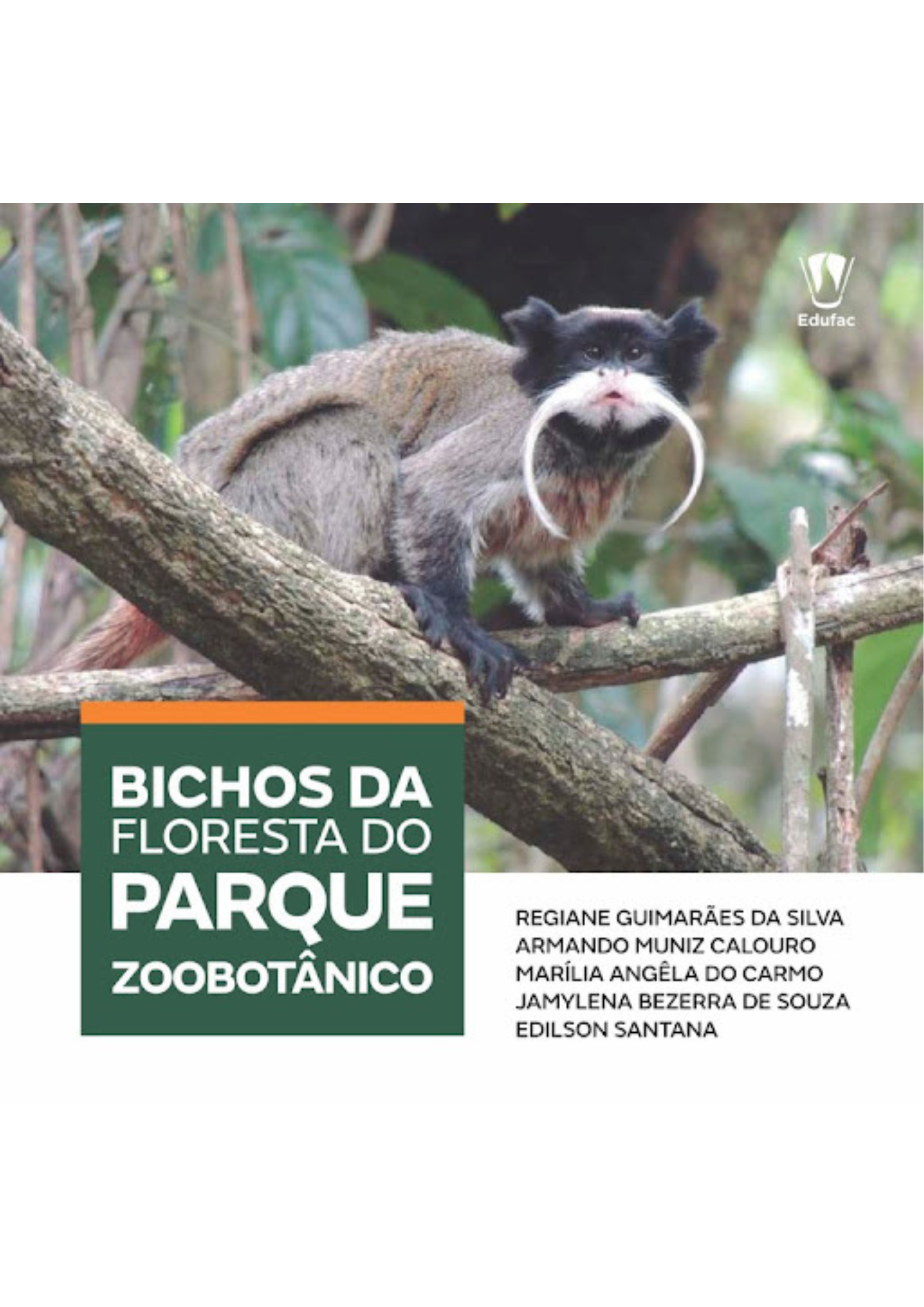 Capa do Bichos da Floresta do PZ Capa do Livro