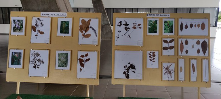 Exposição plantas Exposição plantas