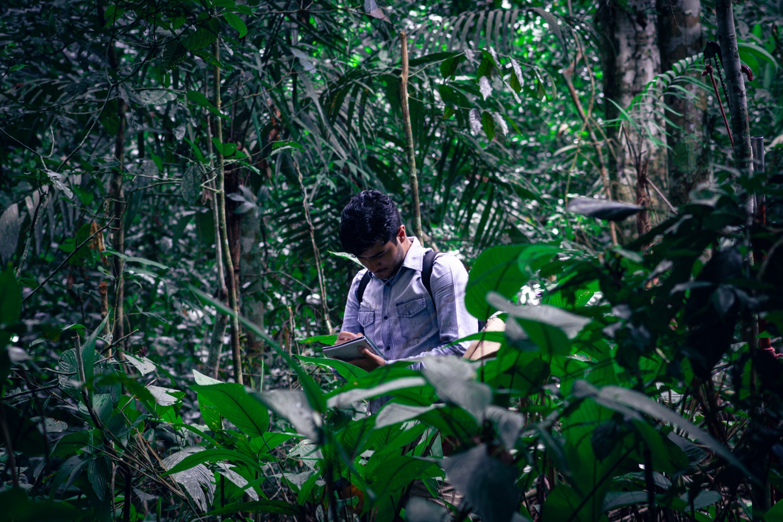 Imagem do Herbário 3