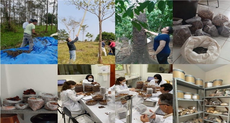 Lasfac fotos ações.png