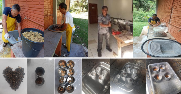 Lasfac fotos trabalhos com sementes.png