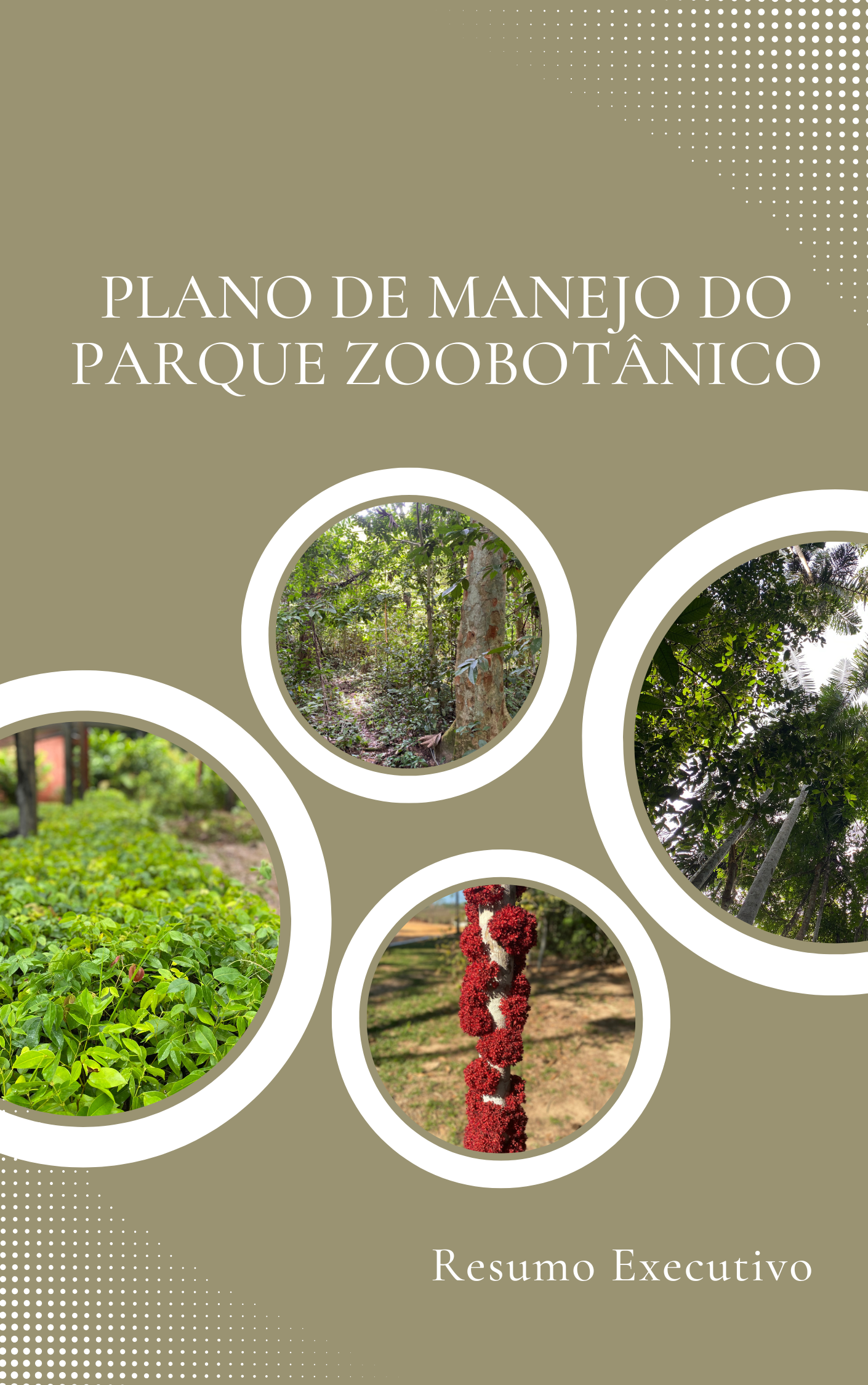 RESUMO EXECUTIVO PZ - Para Edufac.png