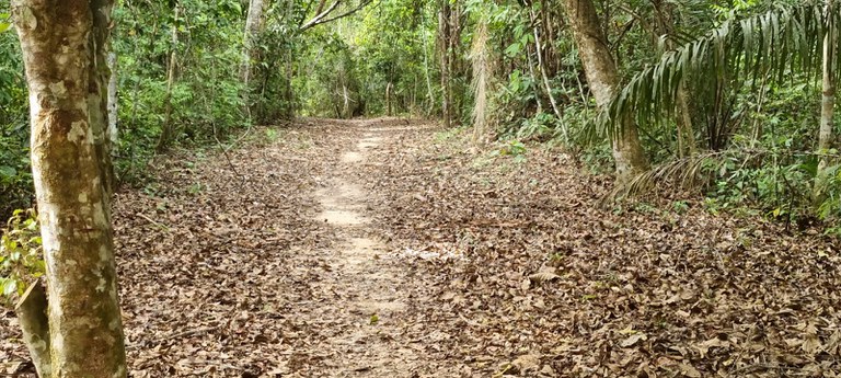 Trilha-Educação-Ambiental.jpeg