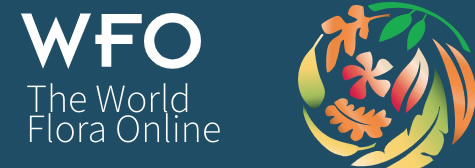WFO