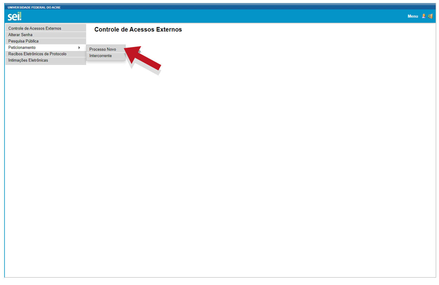 Essa é a página de acompanhamento do processo
