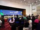 2-IMG_0699.jpg