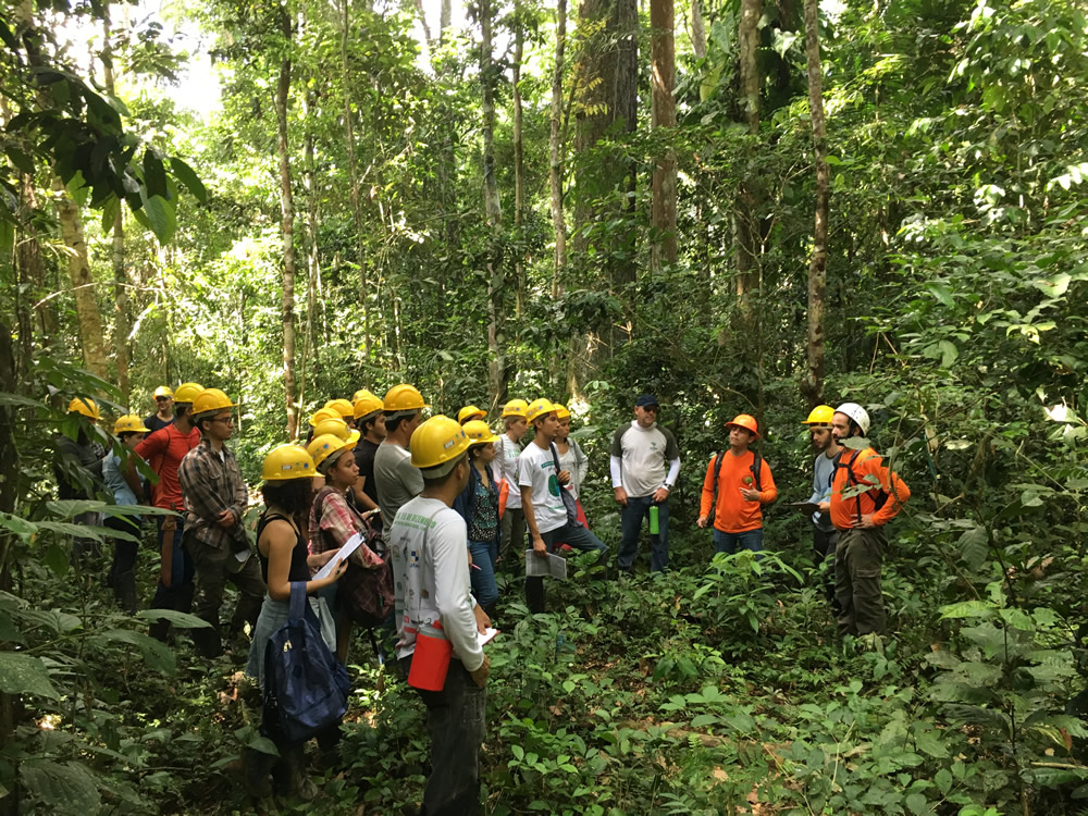 Engenharia Florestal promove atividade no Antimary