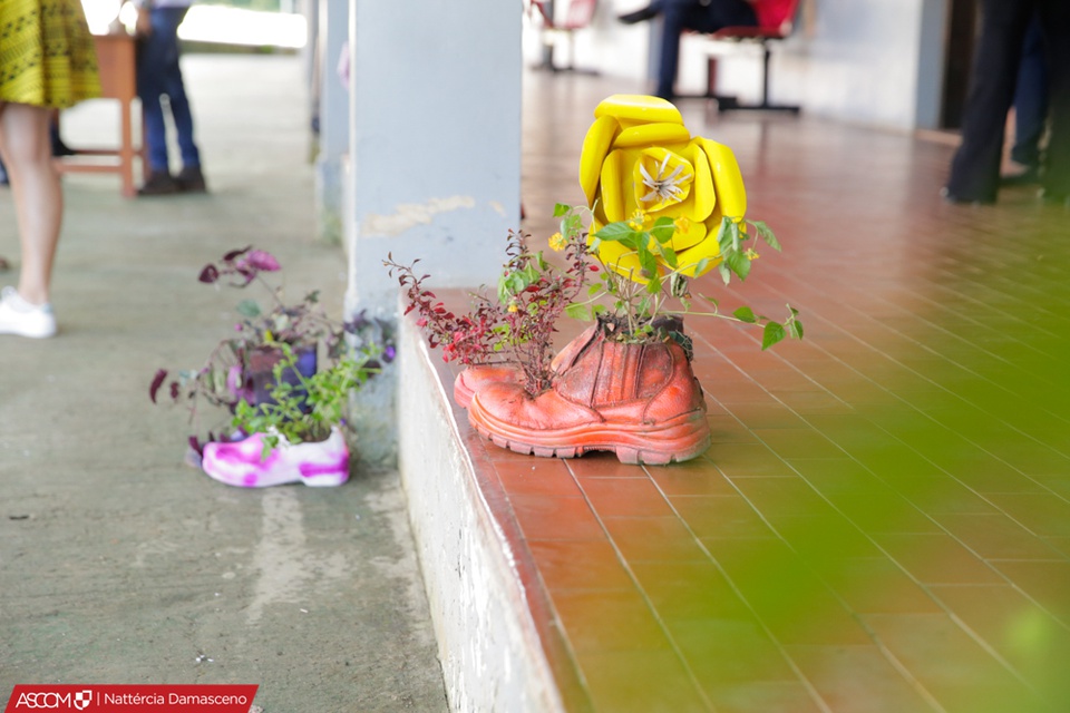 Aula de agronomia aborda uso de calçados como vasos Aula de agronomia aborda uso de calçados como vasos