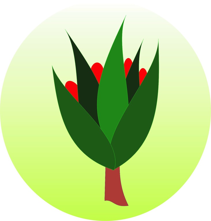 Logo Logo