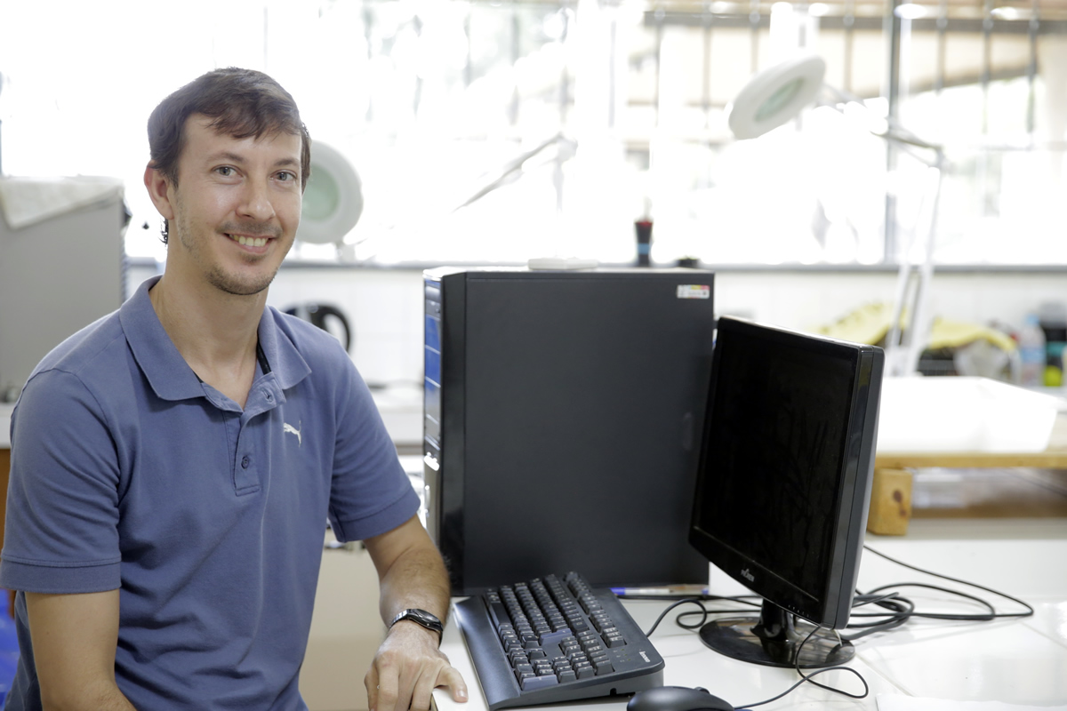 Henrique Mews Prof. Dr. Henrique Mews