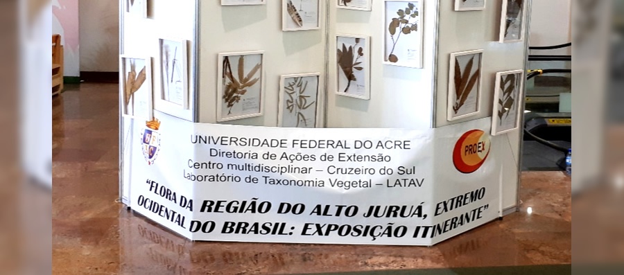 291020198.jpg 291020198.jpg