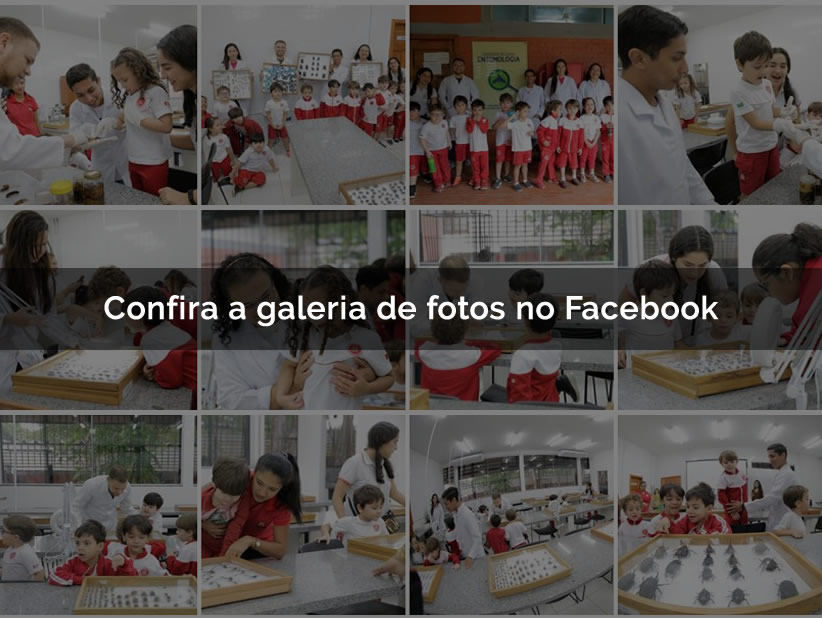 Laboratório de Entomologia recebe crianças da escola Maple Bear