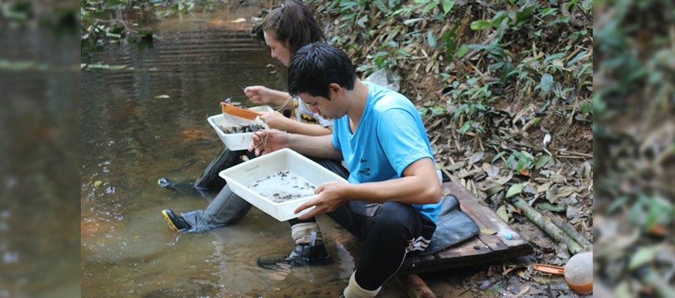 Mestrado em Ecologia da Ufac desenvolve projeto com UFPA e Ufla Mestrado em Ecologia da Ufac desenvolve projeto com UFPA e Ufla