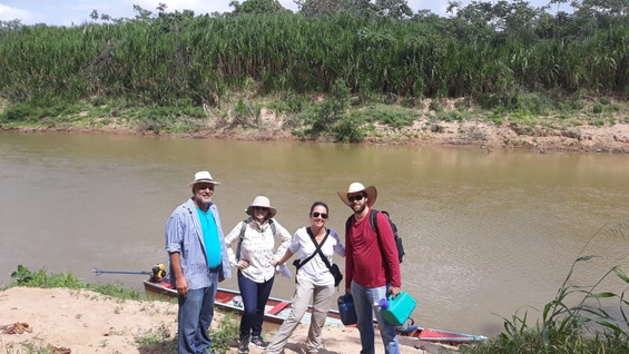 Paleontologia da Ufac resgata fragmentos de purussauro Paleontologia da Ufac resgata fragmentos de purussauro