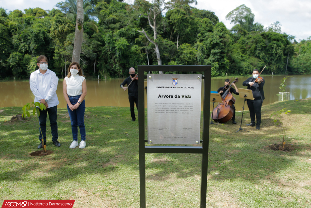 170320213.jpg 170320213.jpg