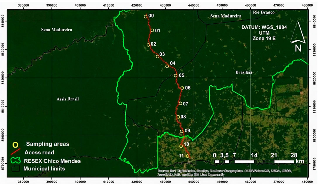 Artigo estuda formigas em paisagem modificada pelo homem Artigo estuda formigas em paisagem modificada pelo homem