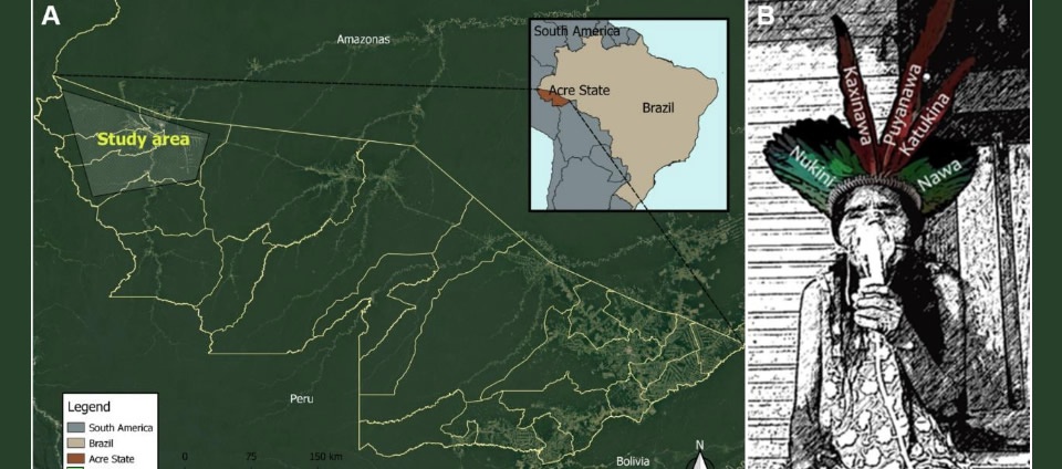 Artigos abordam solução de bicarbonato de sódio contra covid-19.jpg Artigos abordam solução de bicarbonato de sódio contra covid-19.jpg