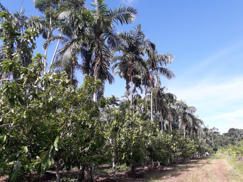 211120222.JPG 211120222.JPG