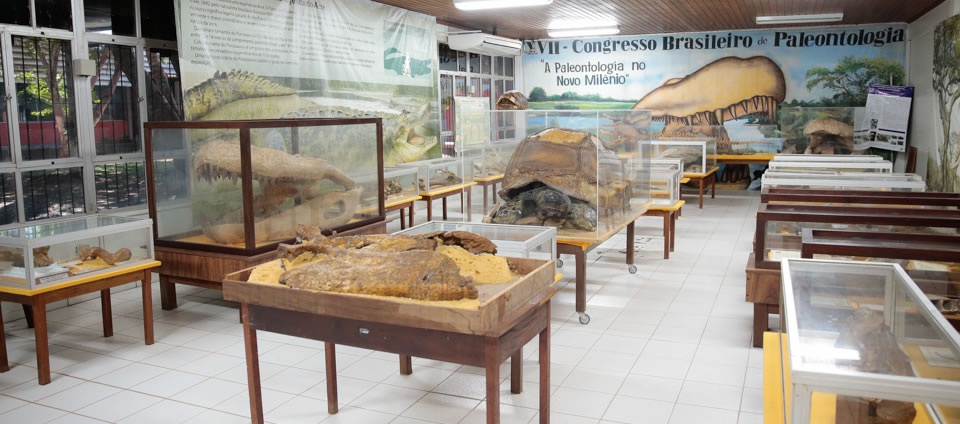 Museu de Paleontologia da UFRGS