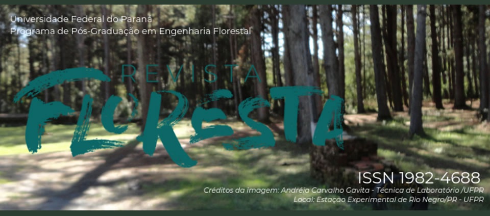 Floresta.jpg Floresta.jpg