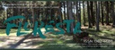 Floresta.jpg