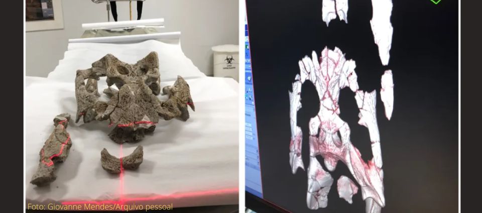 Pesquisador da Unesp usa tomografia em fósseis de jacarés na Ufac.jpg