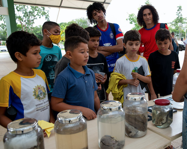 121220227.jpg 121220227.jpg