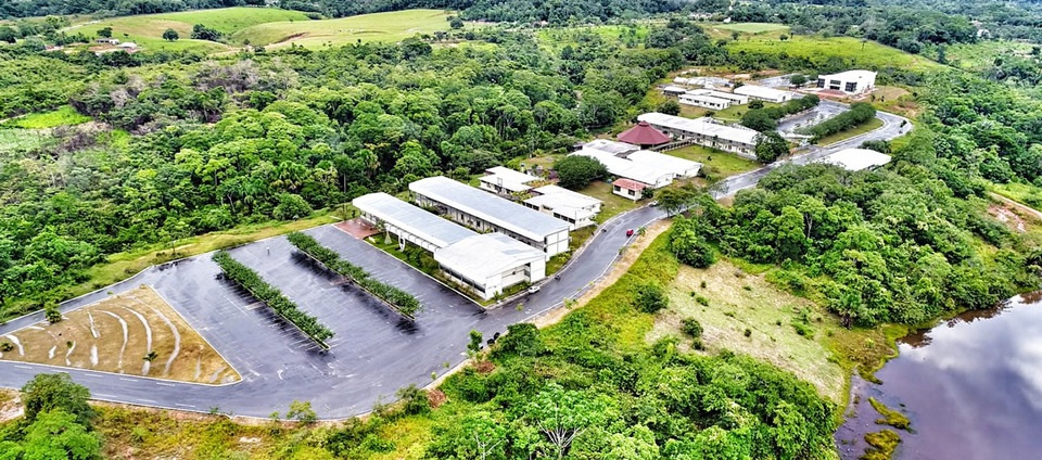 Floresta.jpg Floresta.jpg
