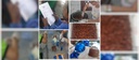 020620225.jpeg