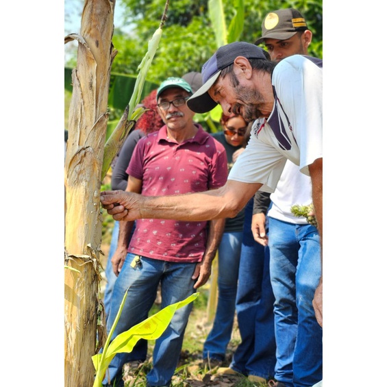 Alunos de Engenharia Florestal visitam Reserva Extrativista Cazumbá-Iracema
