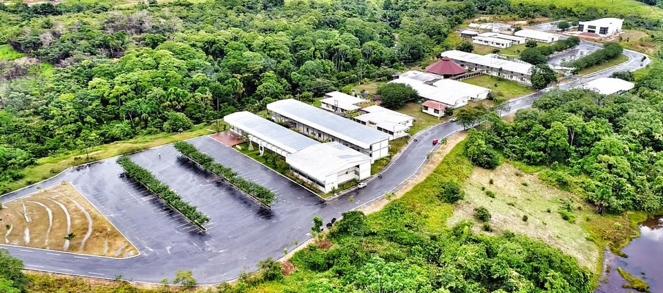 Floresta.jpg Floresta.jpg
