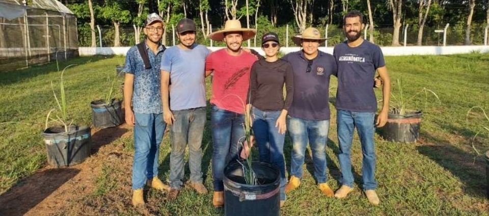 PET-Agronomia da Ufac desenvolve projeto com cana-de-açúcar.jpg PET-Agronomia da Ufac desenvolve projeto com cana-de-açúcar.jpg