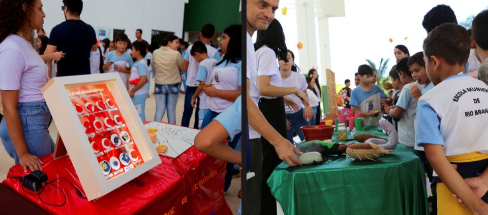 Projeto Universo Vet apresenta medicina veterinária para crianças (2).jpg