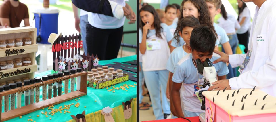 Projeto Universo Vet apresenta medicina veterinária para crianças (3).jpg