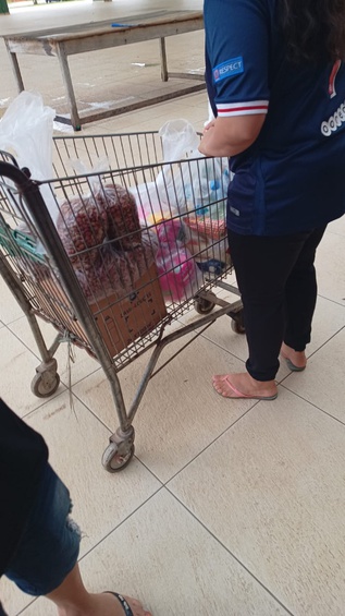 280320234.jpeg