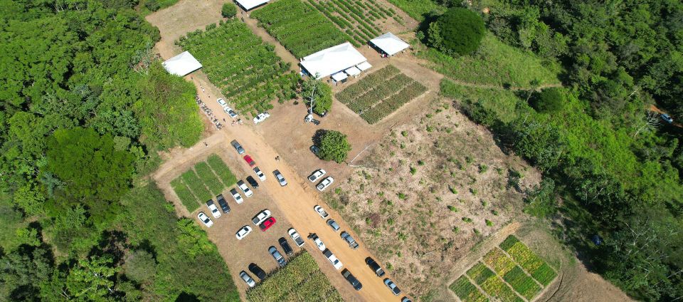Ufac e Embrapa realizam Dia de Campo sobre Manejo e Nutrição de Robustas Amazônicos (2).jpg Ufac e Embrapa realizam Dia de Campo sobre Manejo e Nutrição de Robustas Amazônicos (2).jpg