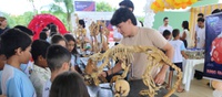 Curso de Medicina Veterinária da Ufac promove 4ª edição do Universo VET