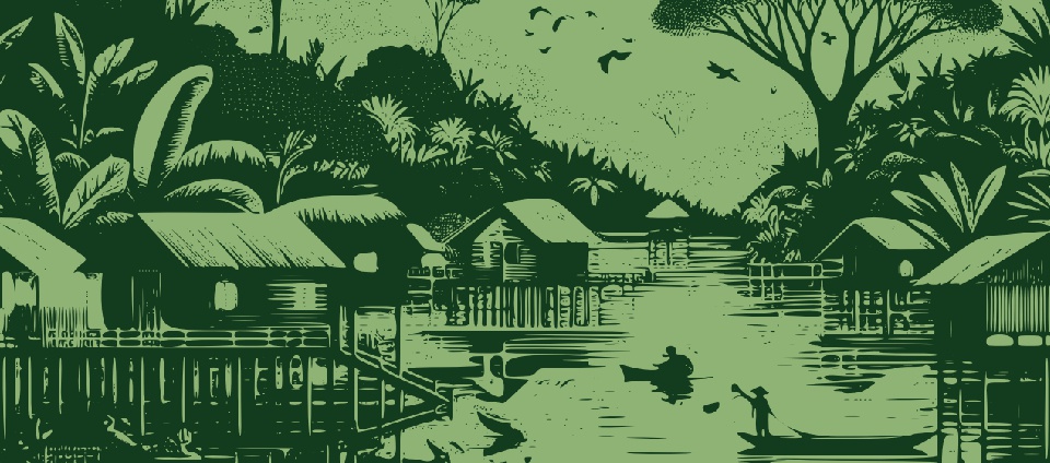 Mestrado em Ciências Ambientais é destacado em livro da Capes-capa.jpg