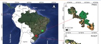 Artigo aborda previsão de incêndios florestais na Mata Atlântica