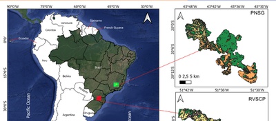 Artigo aborda previsão de incêndios florestais na Mata Atlântica